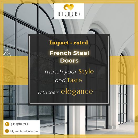 french steel door